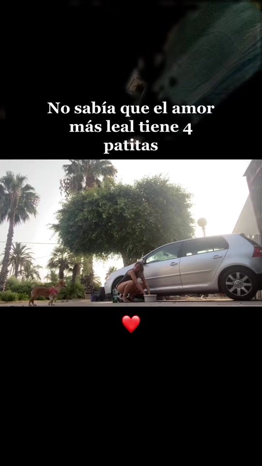 TikTok video thumbnail by amandalaosapanda