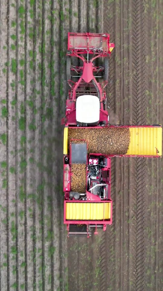 TikTok video thumbnail by matisz88