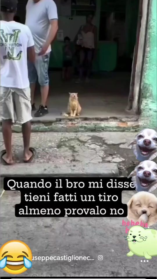 TikTok video thumbnail by ilprincipe1783