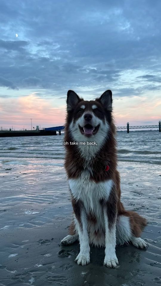 TikTok video thumbnail by chicothe.bubii