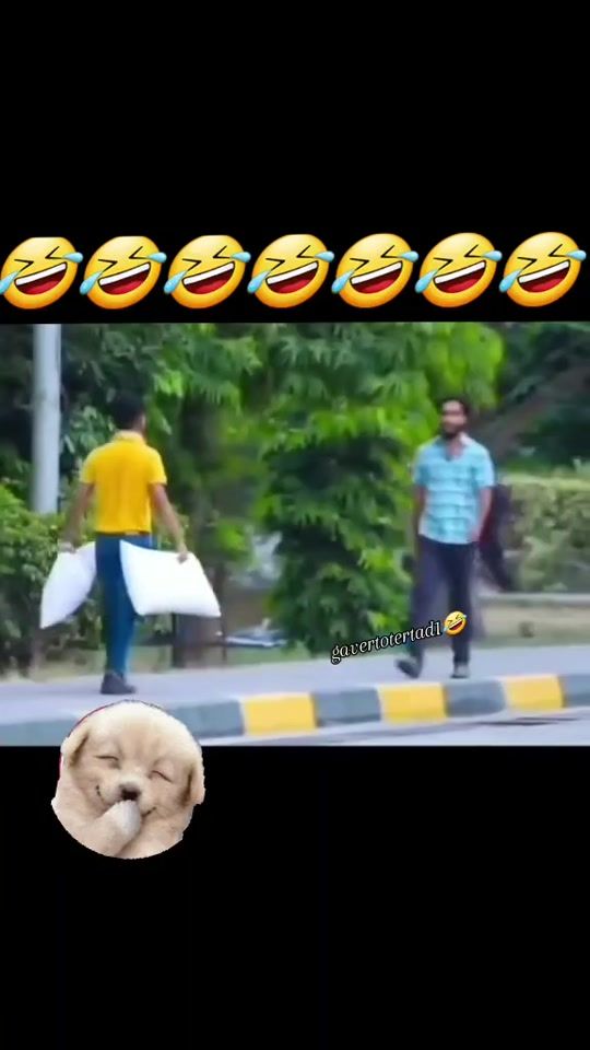 TikTok video thumbnail by gavertotertad1