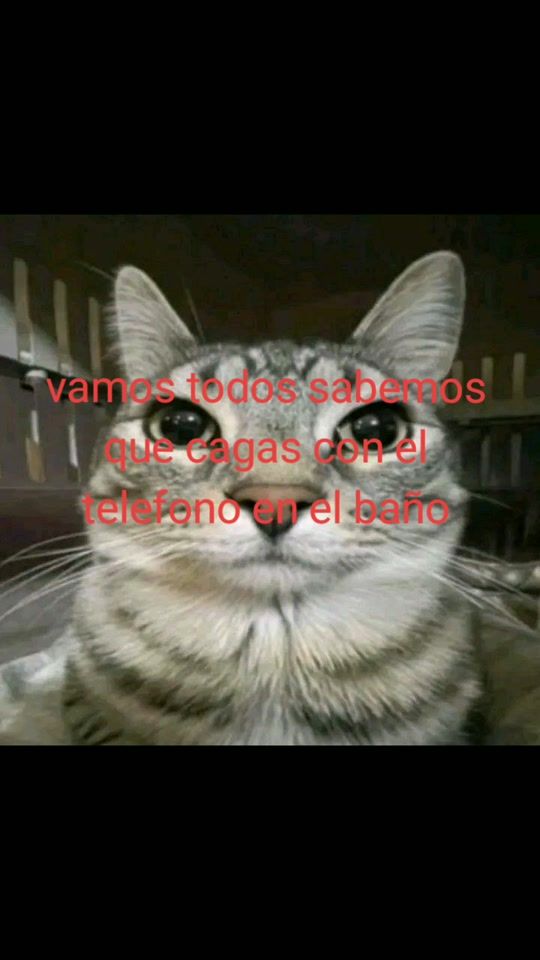 TikTok video thumbnail by xd_mr_0