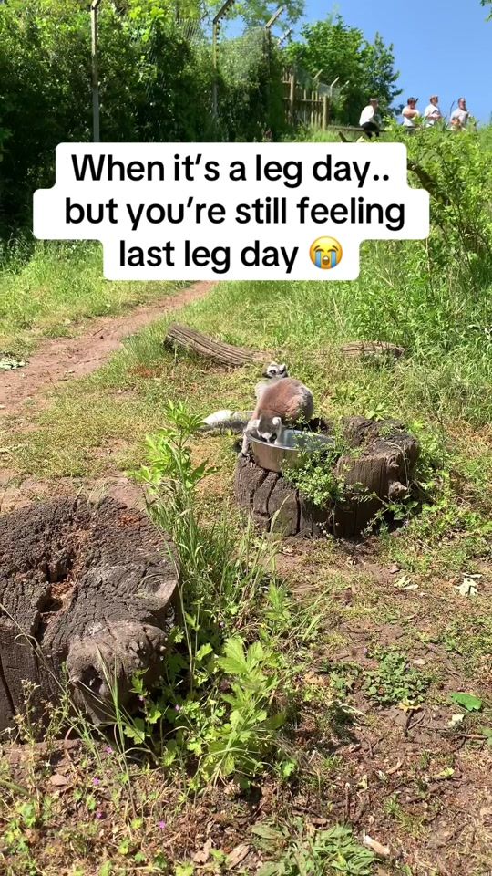 TikTok video thumbnail by blondie_going_traveling