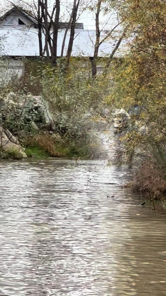 TikTok video thumbnail by magdicipetrica