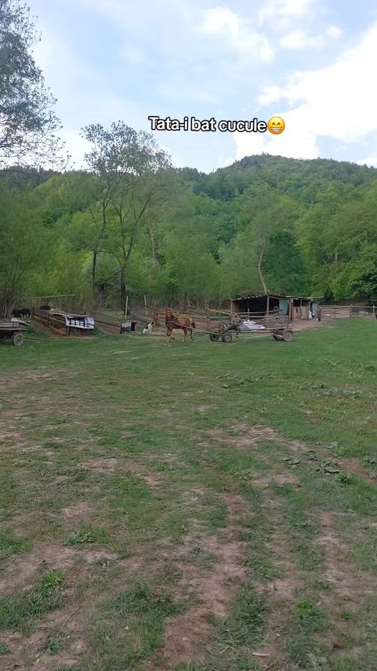 TikTok video thumbnail by mariuta.alexandru4