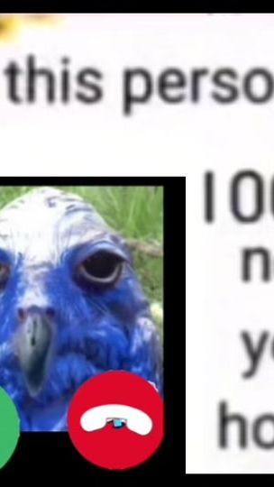 TikTok video thumbnail by evoluts