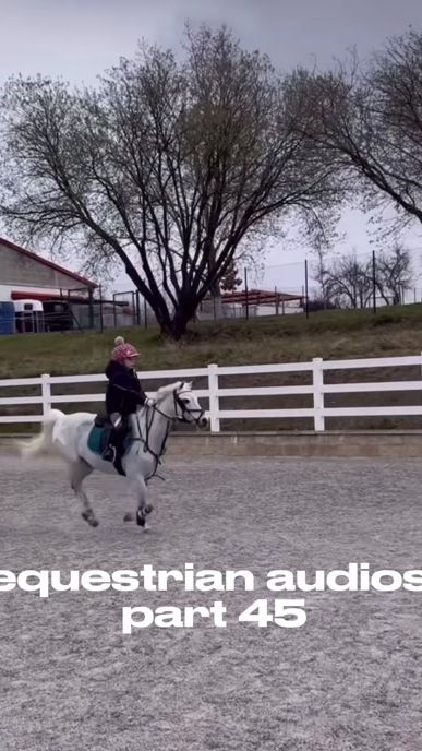 TikTok video thumbnail by equestrian.audios36
