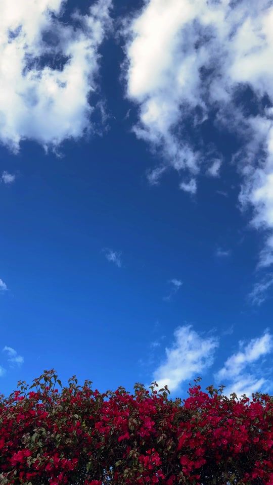 TikTok video thumbnail by yoox