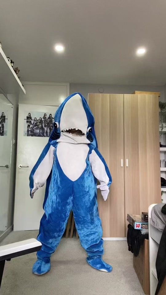 TikTok video thumbnail by kpopshark