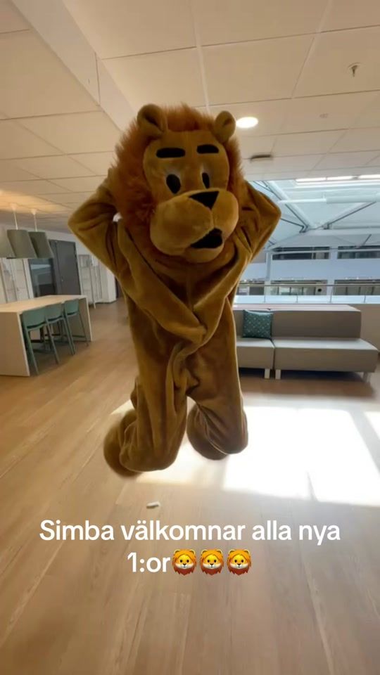 TikTok video thumbnail by sjolins.elevkar