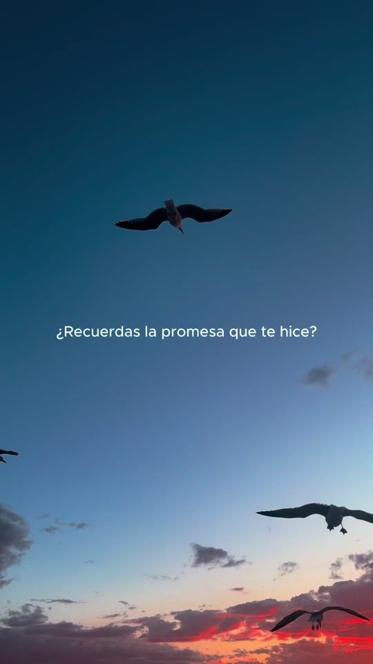 TikTok video thumbnail by lucia.tudela