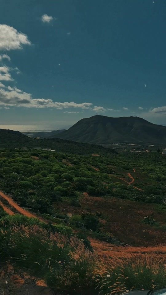 TikTok video thumbnail by disleytorralba