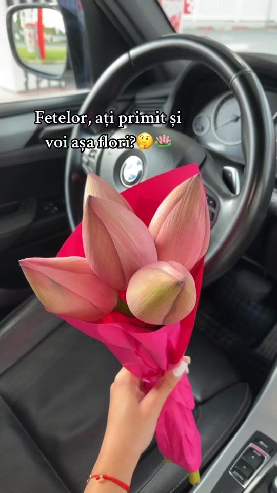 TikTok video thumbnail by daniela.m_26