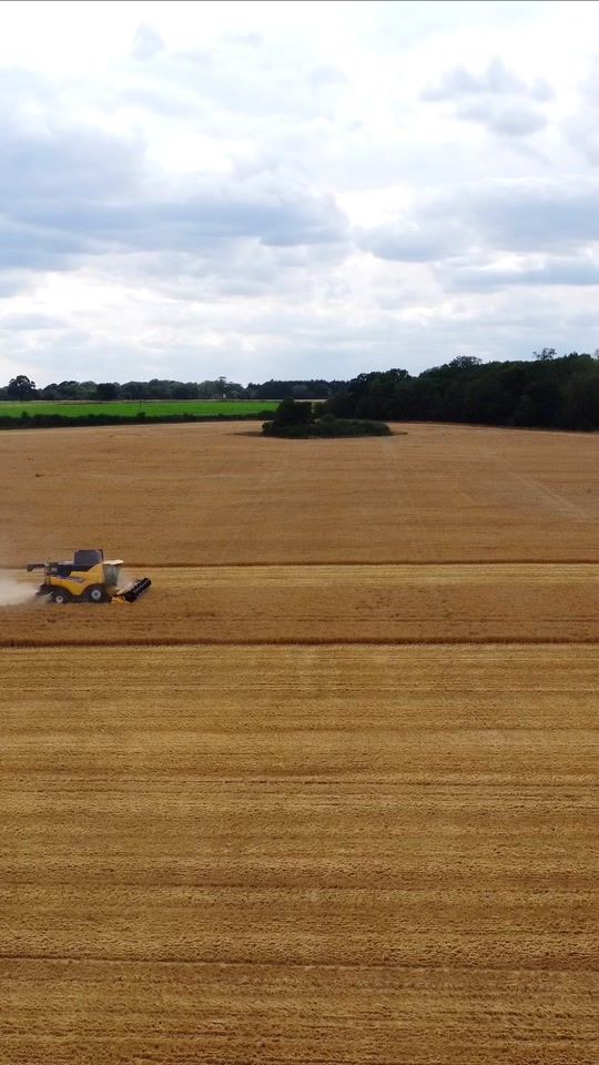 TikTok video thumbnail by theagriiworld