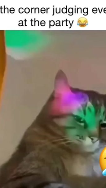 TikTok video thumbnail by mrtandymancan