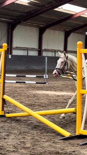 TikTok video thumbnail by equi..eem