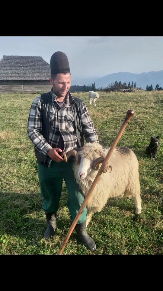 TikTok video thumbnail by lazaralin09