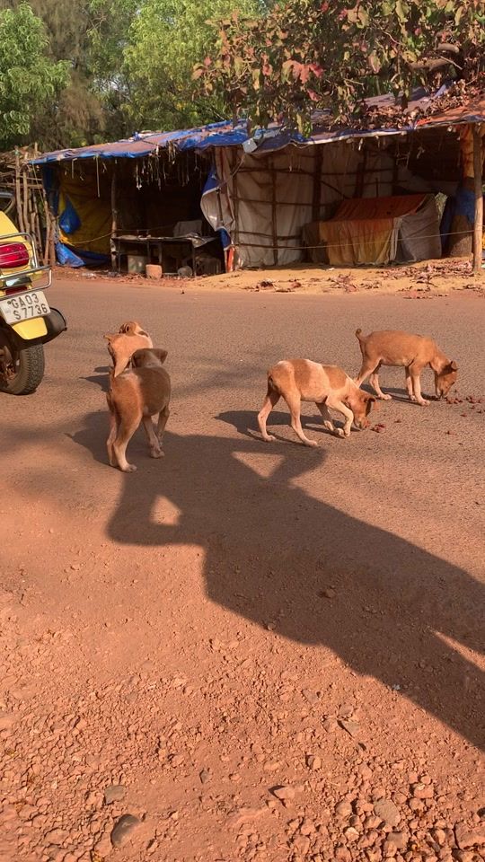 TikTok video thumbnail by goona486