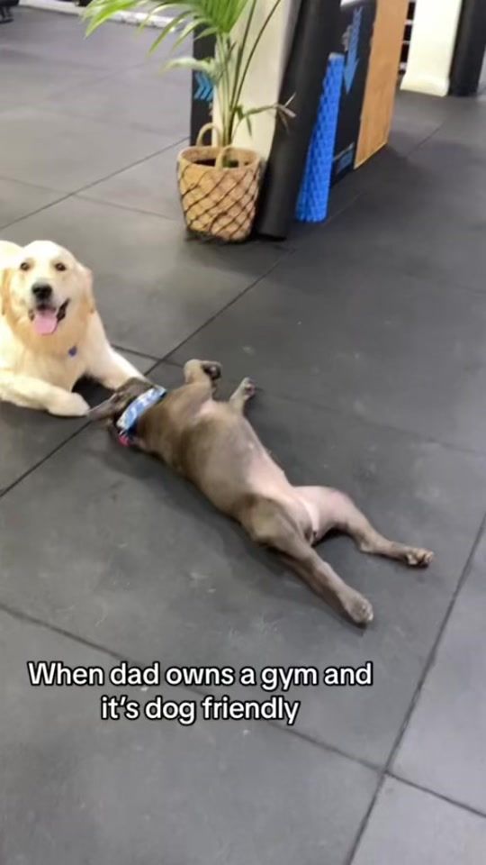 TikTok video thumbnail by moximoments