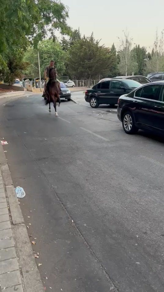 TikTok video thumbnail by mateofernandez1371