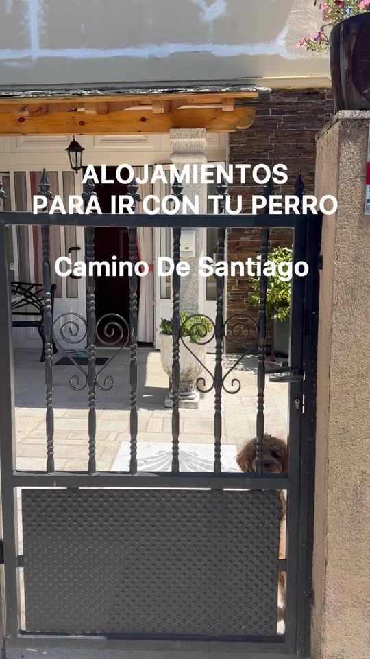 TikTok video thumbnail by alexnebot