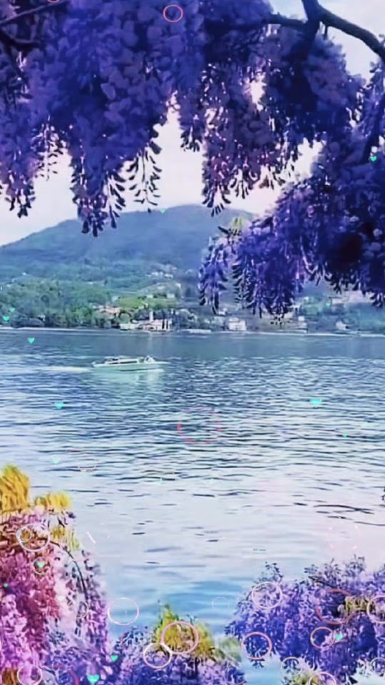 TikTok video thumbnail by cansina27
