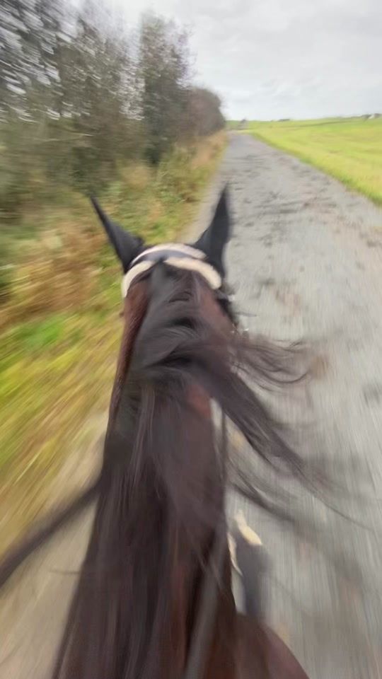 TikTok video thumbnail by eq._..emilie