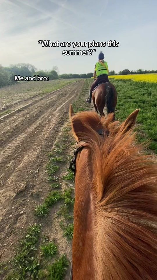 TikTok video thumbnail by myponycami
