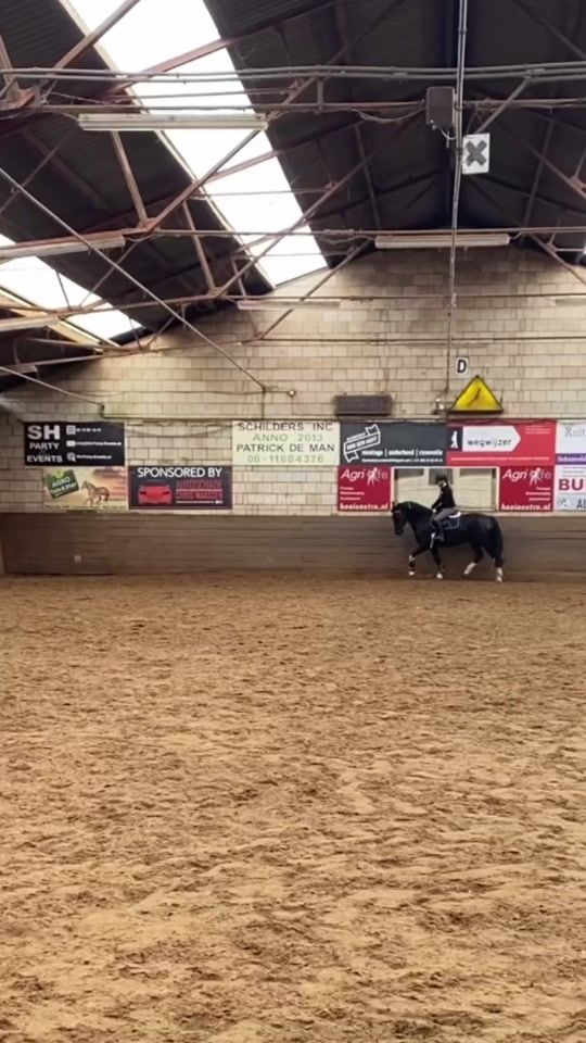 TikTok video thumbnail by xequestrian_angiex