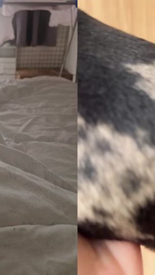 TikTok video thumbnail by clara_naddeo