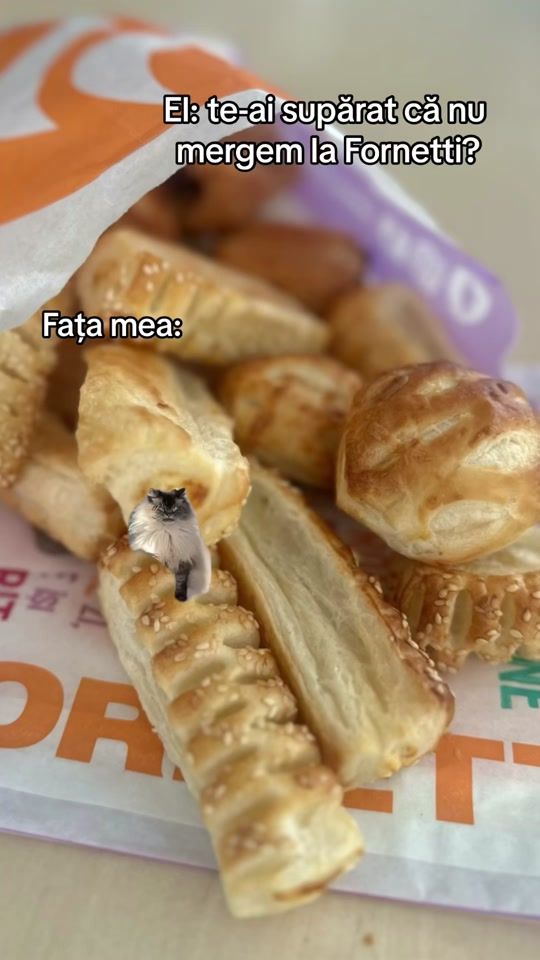 TikTok video thumbnail by fornetti_romania