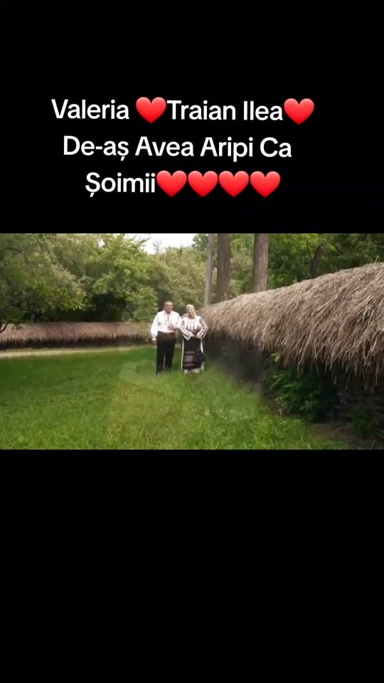 TikTok video thumbnail by sorinaofelia