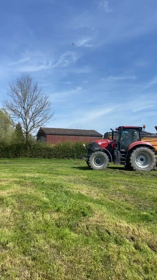 TikTok video thumbnail by dorianewillame