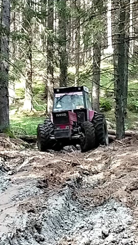 TikTok video thumbnail by gtamas02