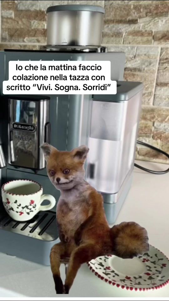 TikTok video thumbnail by tiktok81853