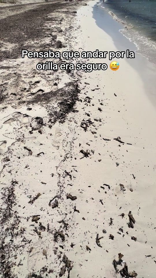 TikTok video thumbnail by jbatet