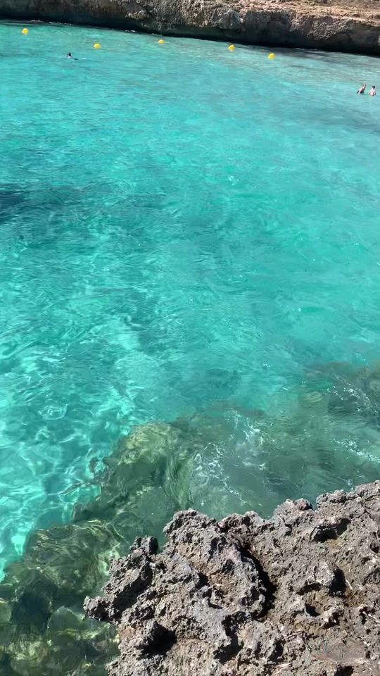 TikTok video thumbnail by gabeszpapi99