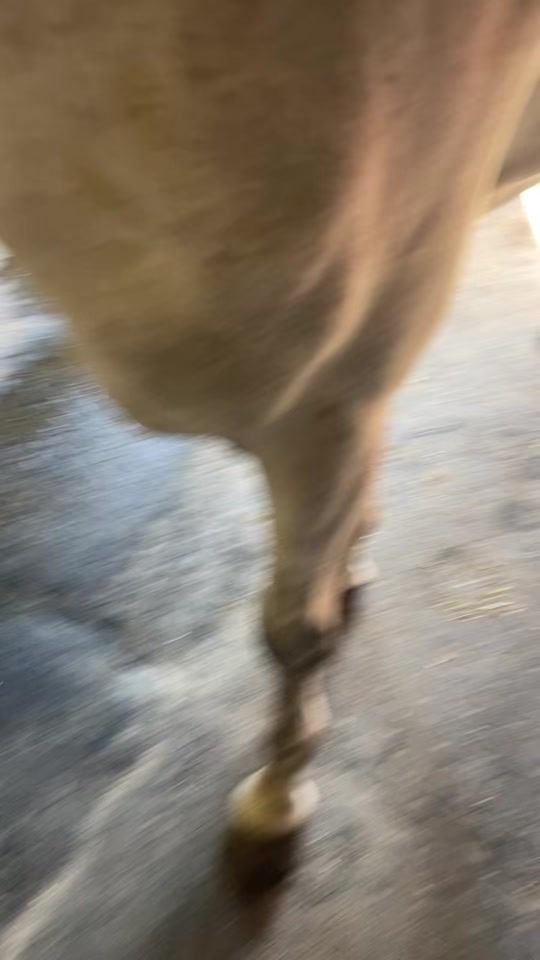 TikTok video thumbnail by alexandre_arwadi_eq