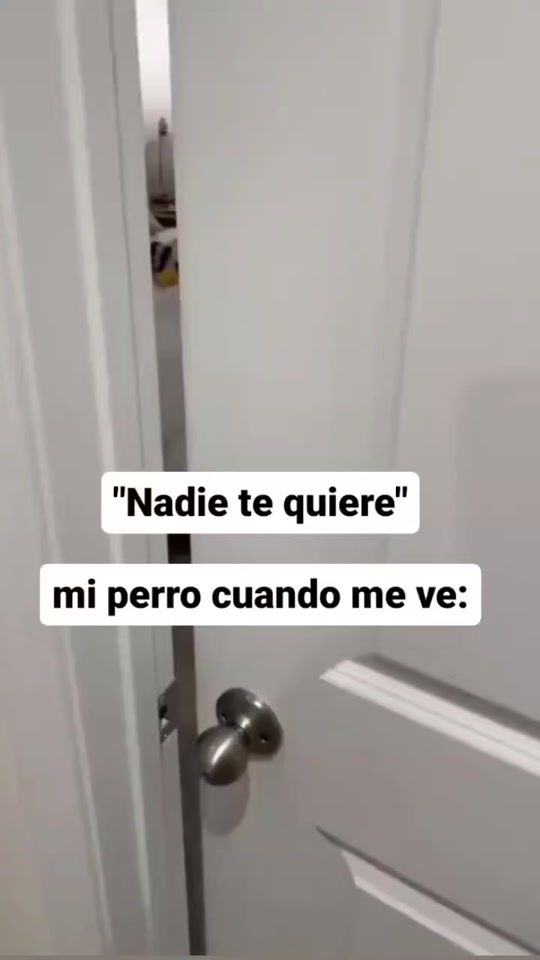 TikTok video thumbnail by tenerife929