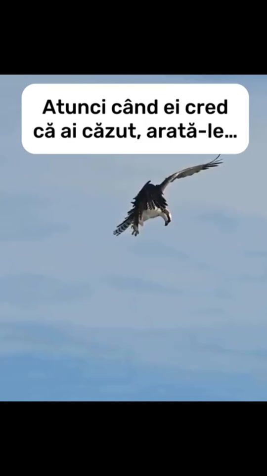 TikTok video thumbnail by iencidavid
