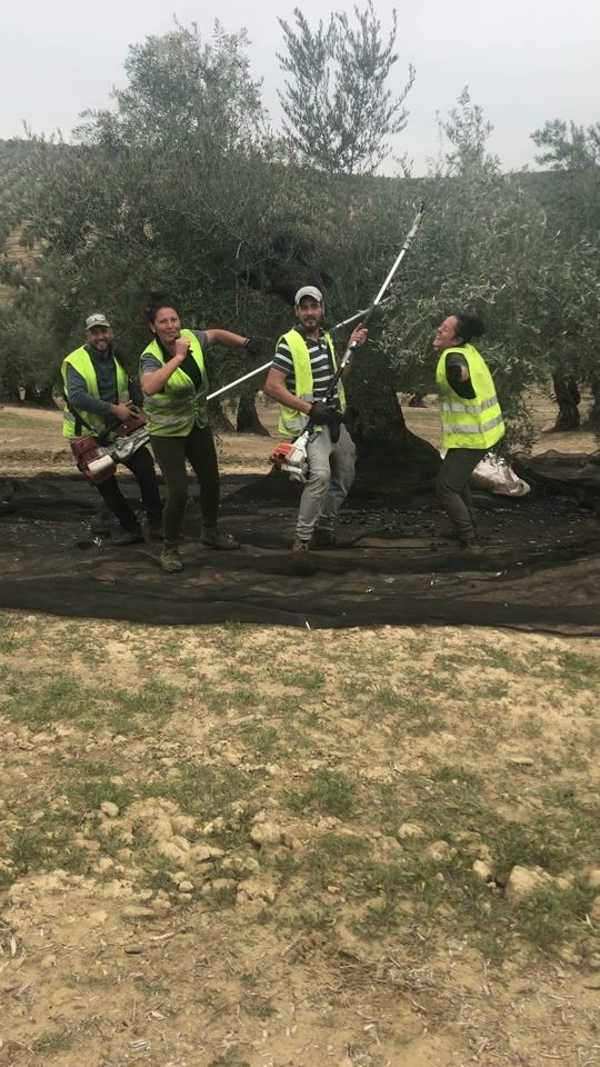 TikTok video thumbnail by maraaranega