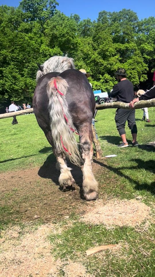 TikTok video thumbnail by samirleptea1