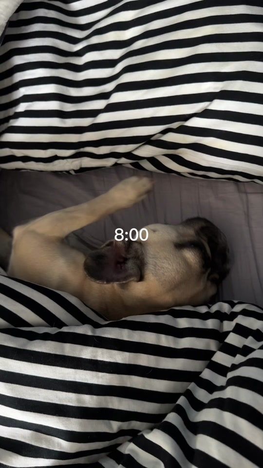 TikTok video thumbnail by linda.manuella