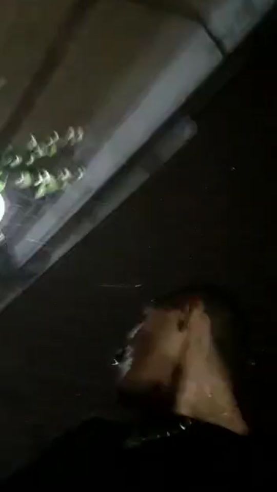 TikTok video thumbnail by fra.ussia