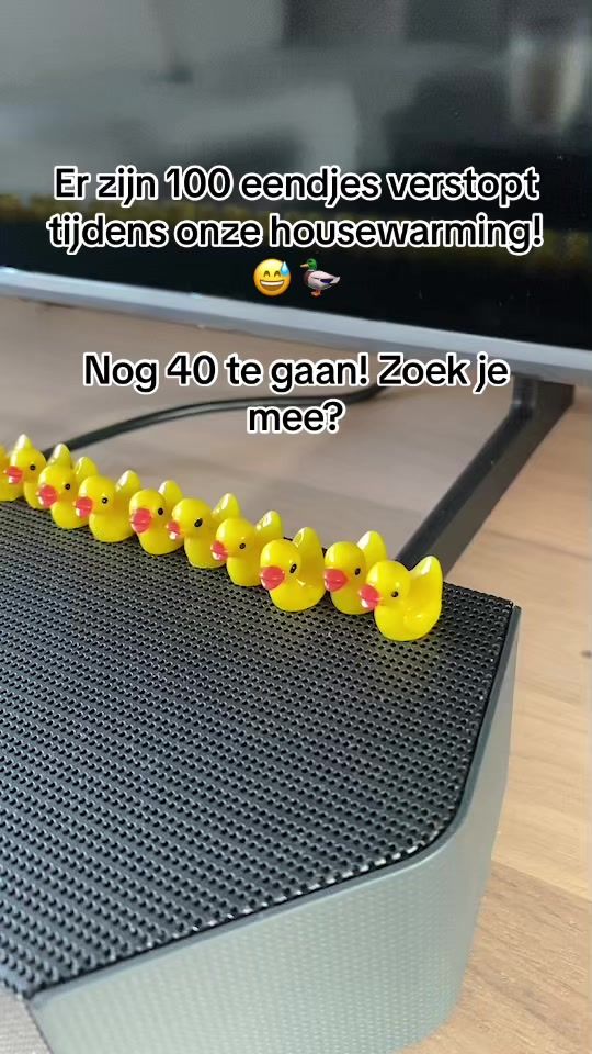 TikTok video thumbnail by sarinavdijk