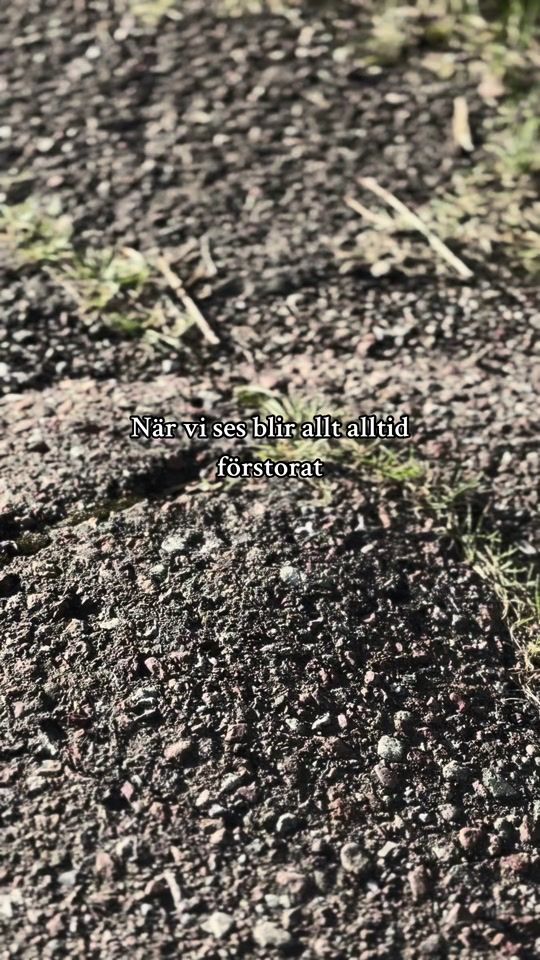 TikTok video thumbnail by ninahedl