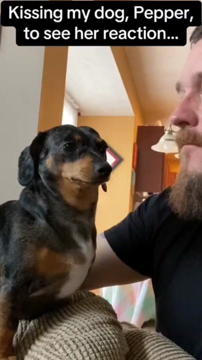 TikTok video thumbnail by loveanimalstv