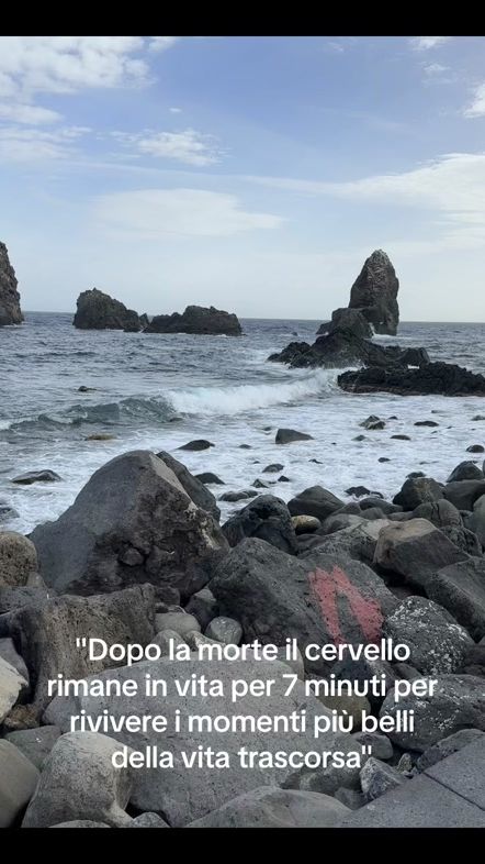 TikTok video thumbnail by martinazito01