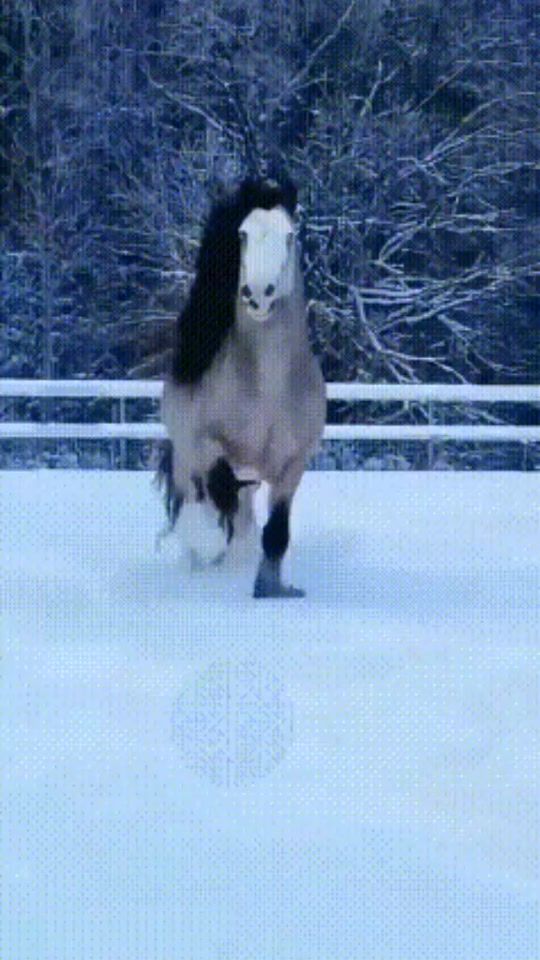 TikTok video thumbnail by jolanta.ch6