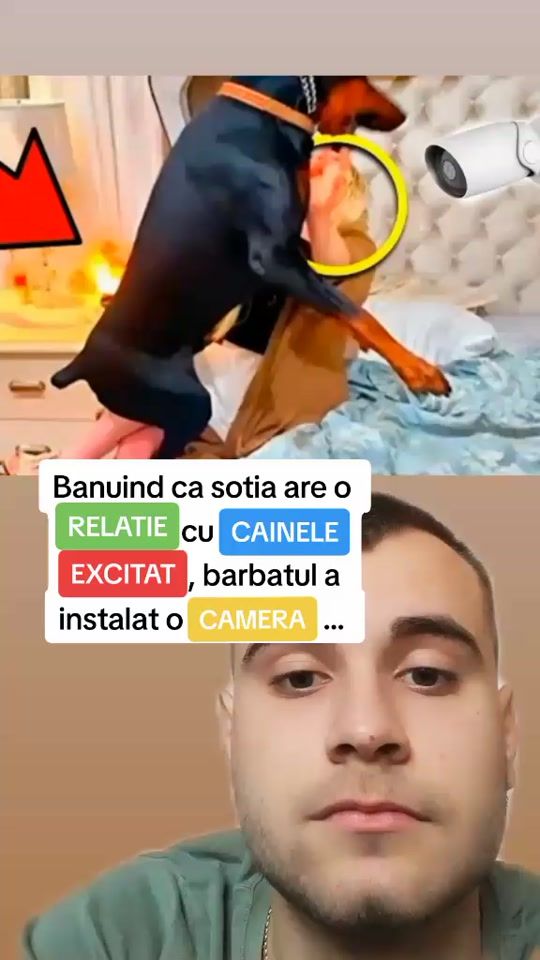 TikTok video thumbnail by bogdan_iancu